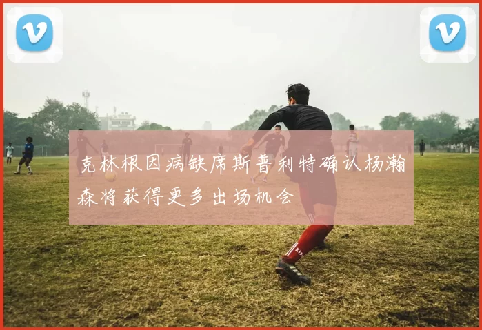 克林根因病缺席斯普利特确认杨瀚森将获得更多出场机会