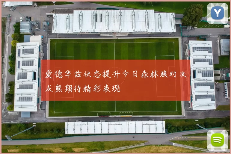 爱德华兹状态提升今日森林狼对决灰熊期待精彩表现